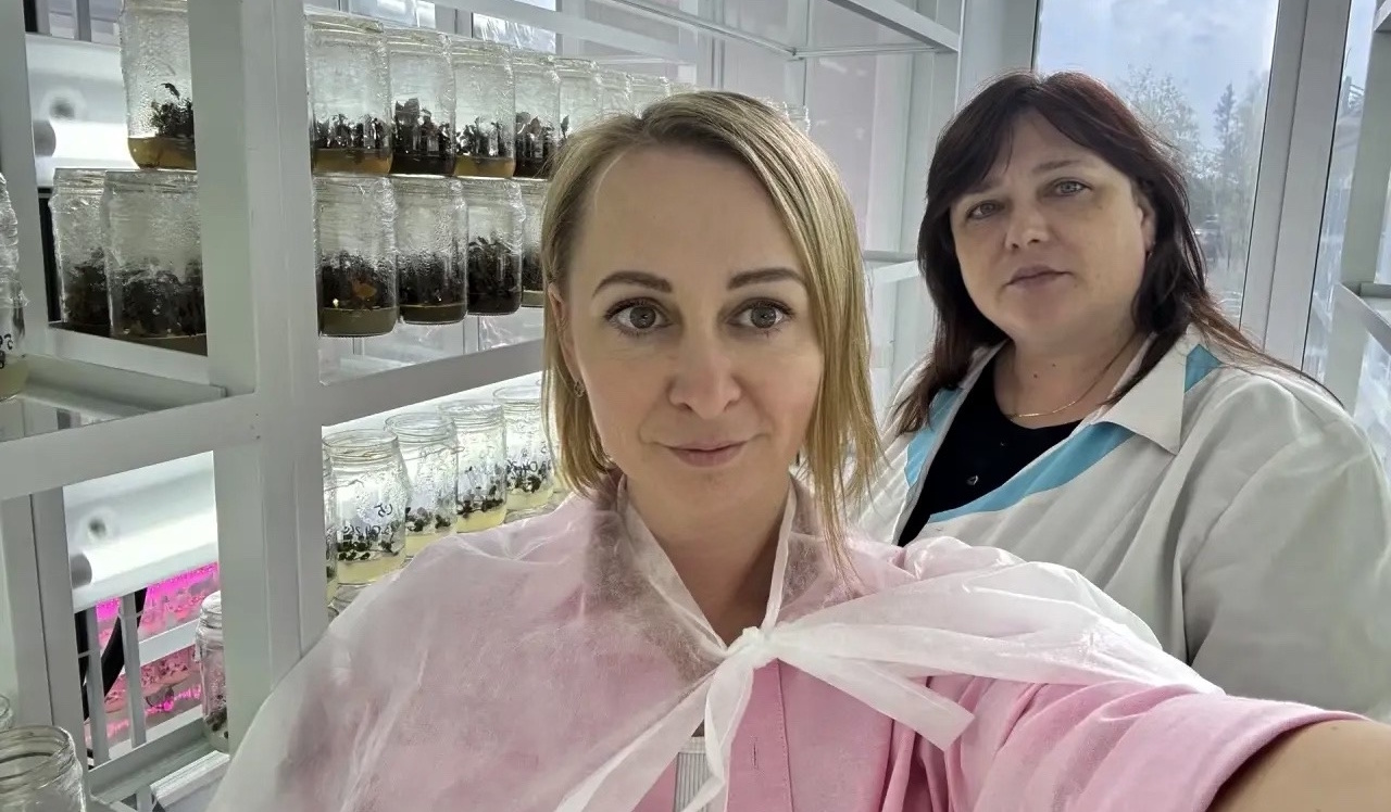 Директор Центра аграрных технологий ВГАУ Юлия Требукова посетила лабораторию микроклонального размножения растений Костромской ГСХА!
