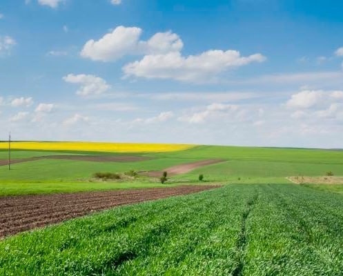 ВГАУ объявляет набор на новую программу магистратуры «Устойчивое развитие сельских территорий»