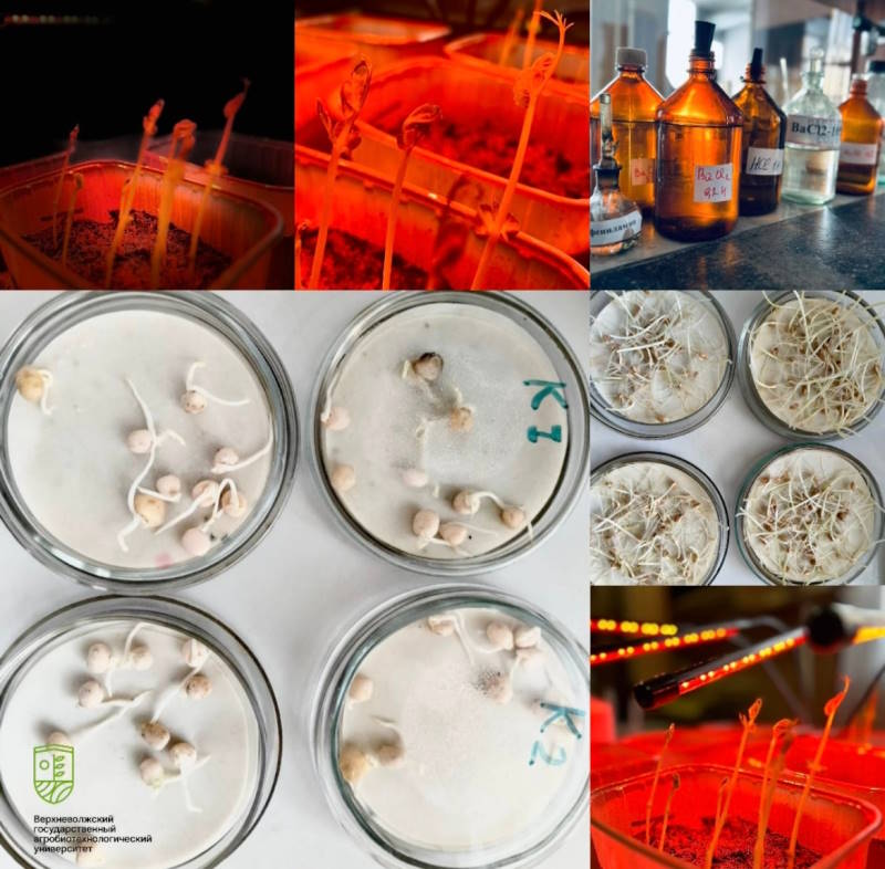 В преддверии Дня российской науки заглянем на кафедру агрохимии, химии и экологии