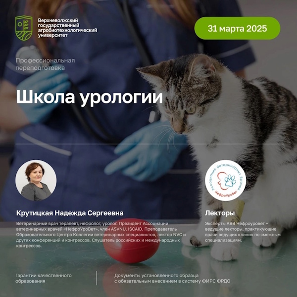 Курс «Школа урологии»