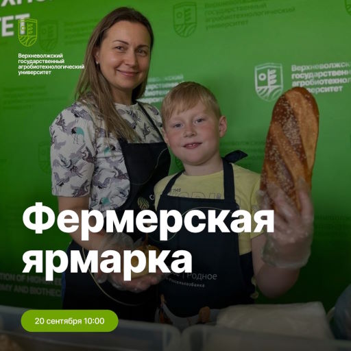 Дорогие друзья!