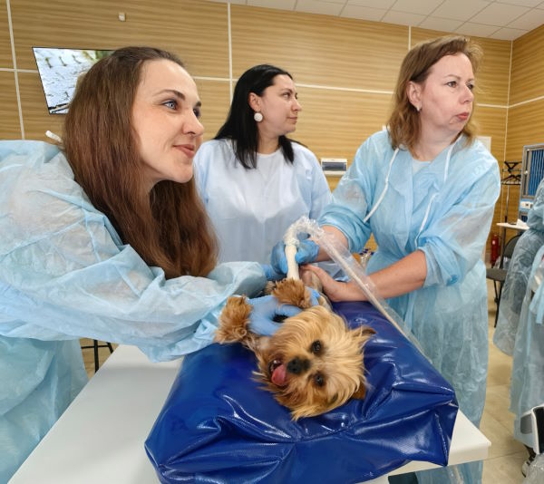 Стартовал третий поток обучения УЗИ диагностики!