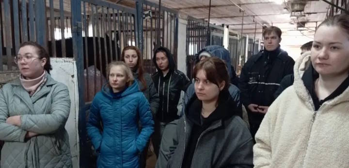 Наши ветеринары на практике в конно-спортивном клубе "Риат"!