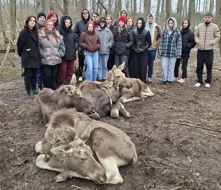 Выездное занятие на на лосиной ферме в Сумароково!