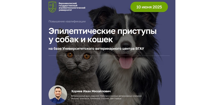 Приглашаем на курс повышения квалификации «Эпилептические приступы у собак и кошек»!