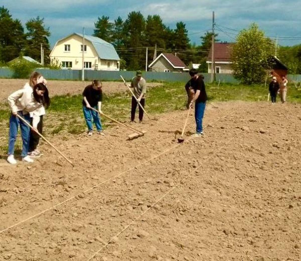Новости с полей от наших агрономов