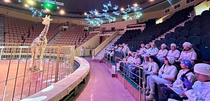 Кто не мечтал заглянуть за кулисы цирковой жизни животных?! Будущим ветврачам представилась такая возможность!