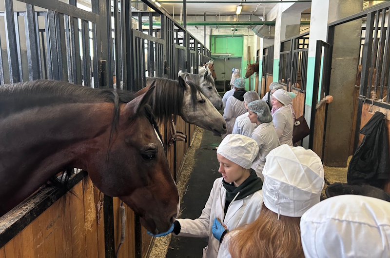 Кто не мечтал заглянуть за кулисы цирковой жизни животных?! Будущим ветврачам представилась такая возможность!