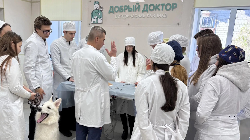 Под руководством практикующего ветеринарного врача-хирурга Горина Михаила Александровича на ветеринарном факультете кипит учёба!
