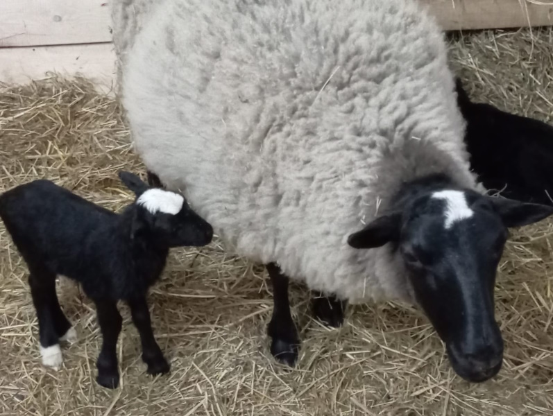 Беби-бум в нашей Университетской клинике продолжается!