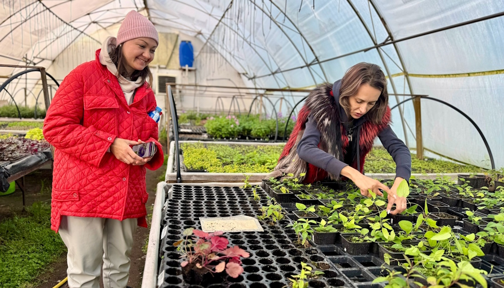 Участники программы «Школа фермера» посетили КФХ Веры Котовой | Грани Герани!