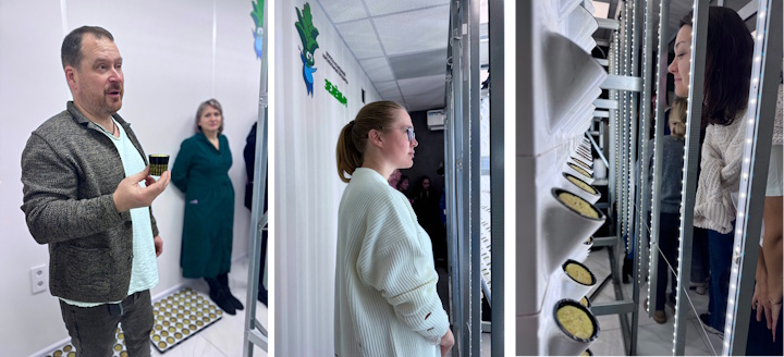 Выращивание зелёных культур круглый год!