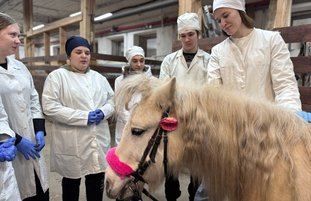Занятие по клинической диагностике прошло в форме увлекательной игры!