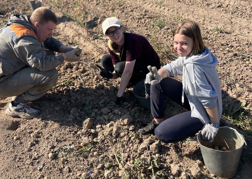 Сентябрь - время уборки картофеля!