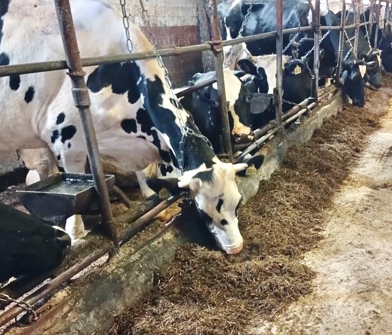 Бесценный опыт в реальных условиях!