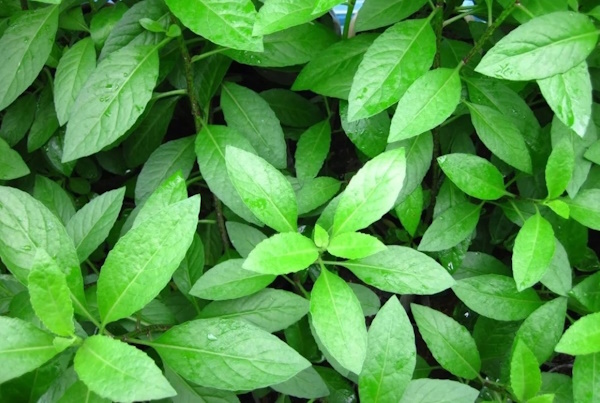 Откройте для себя новинку!