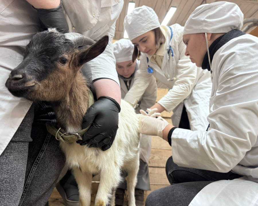 От теории к практике!