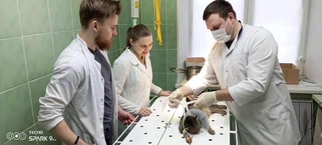 Производственная практика в государственных ветеринарных учреждениях Ивановской области