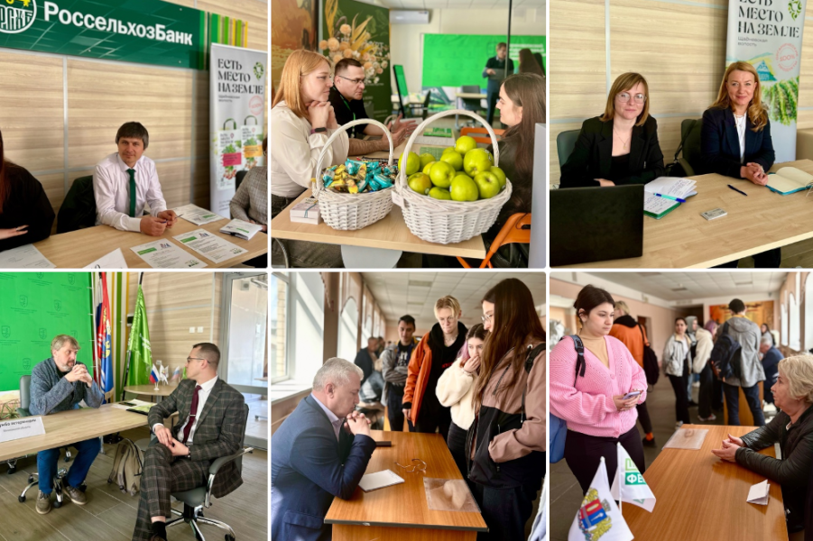 Итоги второго дня "День Карьеры"