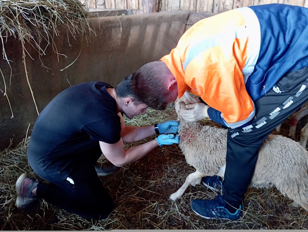 И нет нам покоя…