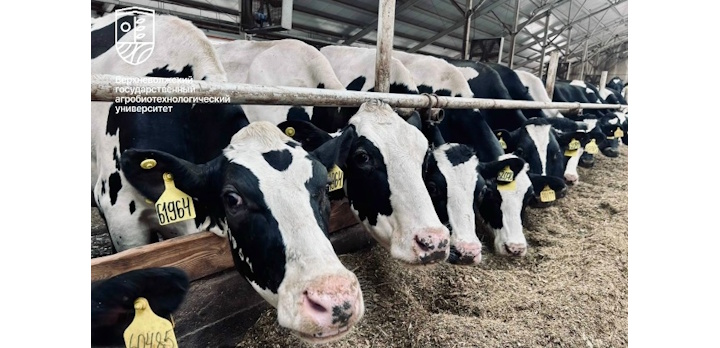 Прирост объемов сельхозпроизводства в Ивановской области!