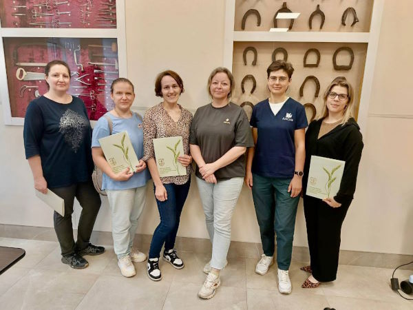 Курс по дентальному рентгену