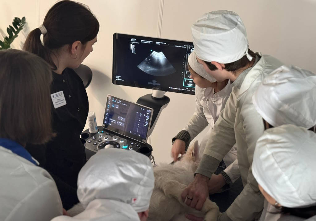 Исследование мочевыделительной системы у животных методом ультразвуковой диагностики