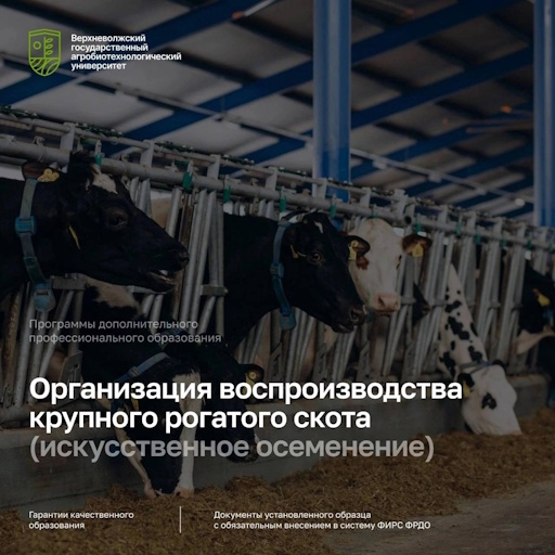 Курсы по программе ДПО «Организация воспроизводства крупного рогатого скота (искусственное осеменение)»
