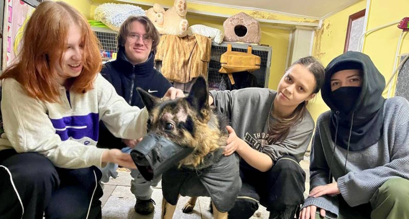  Студенты-кинологи и волонтёры ВГАУ побывали в приюте «ЗОО 37»!