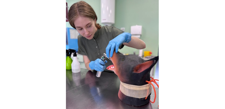 Врачебно-производственная практика в стенах Университетского ветеринарного центра!