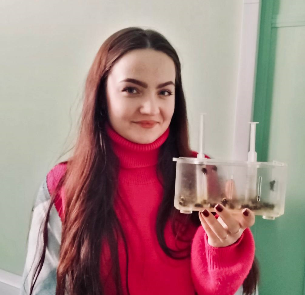 Студенты познакомились с разведением шмелей и их пользе в сельском хозяйстве