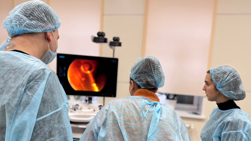 Гибкая эндоскопия желудочно-кишечного тракта у кошек и собак!