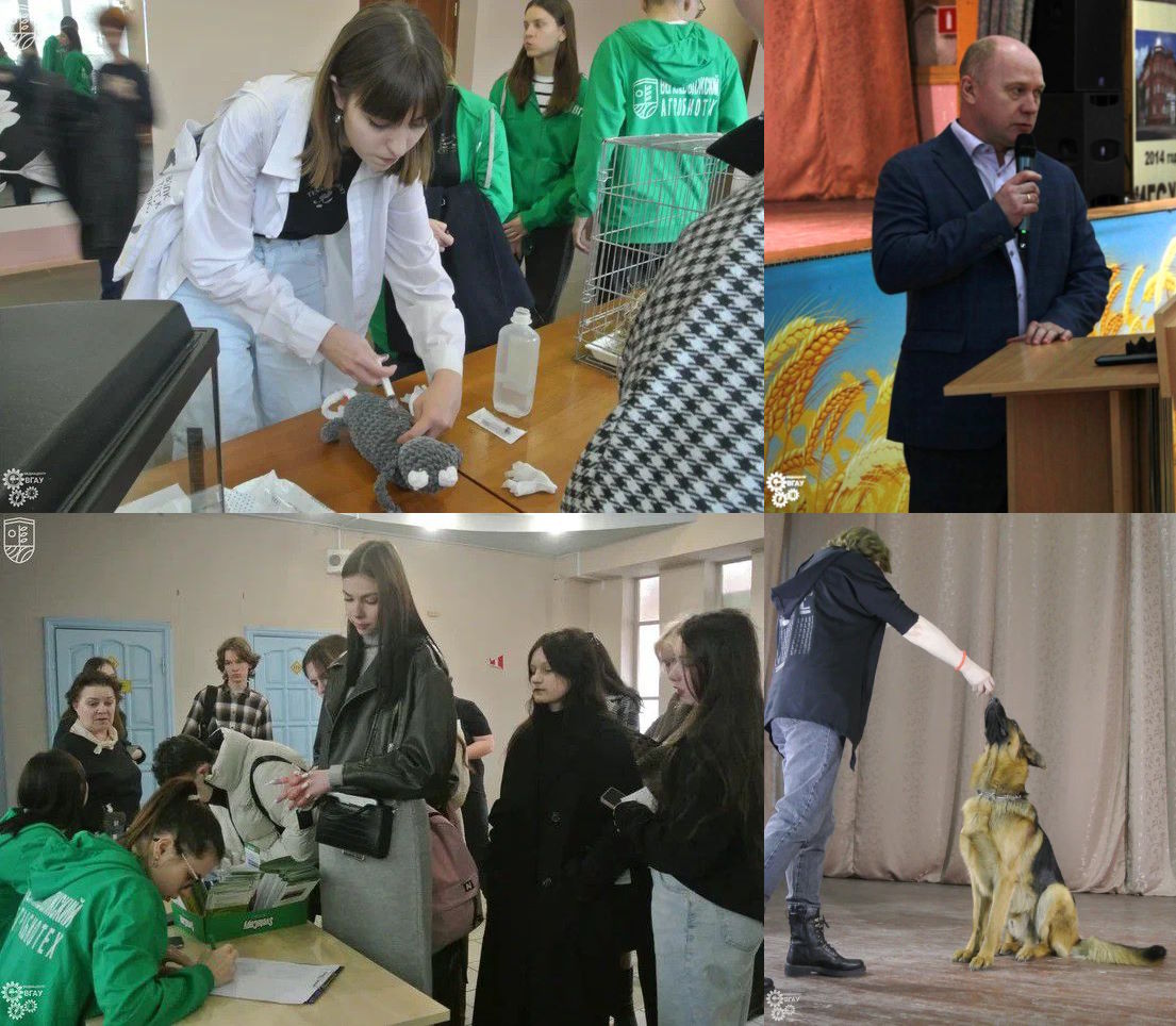 Знакомьтесь, колледж ВМА!