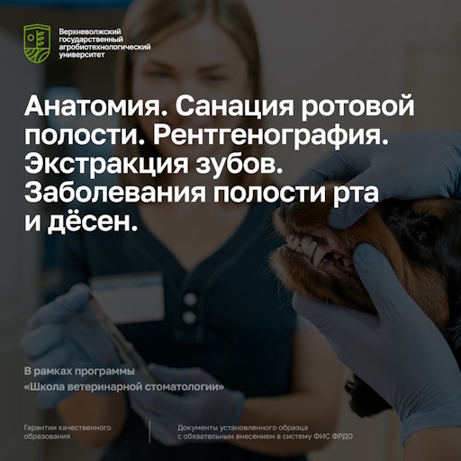 На базе университета стартовал первый модуль курса «Школа ветеринарной стоматологии»
