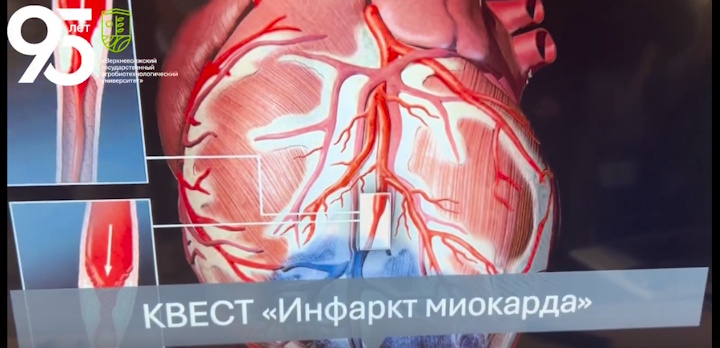 Наши студенты приняли участие в «Кардио - квесте», который подготовили студенты ИвГМУ!