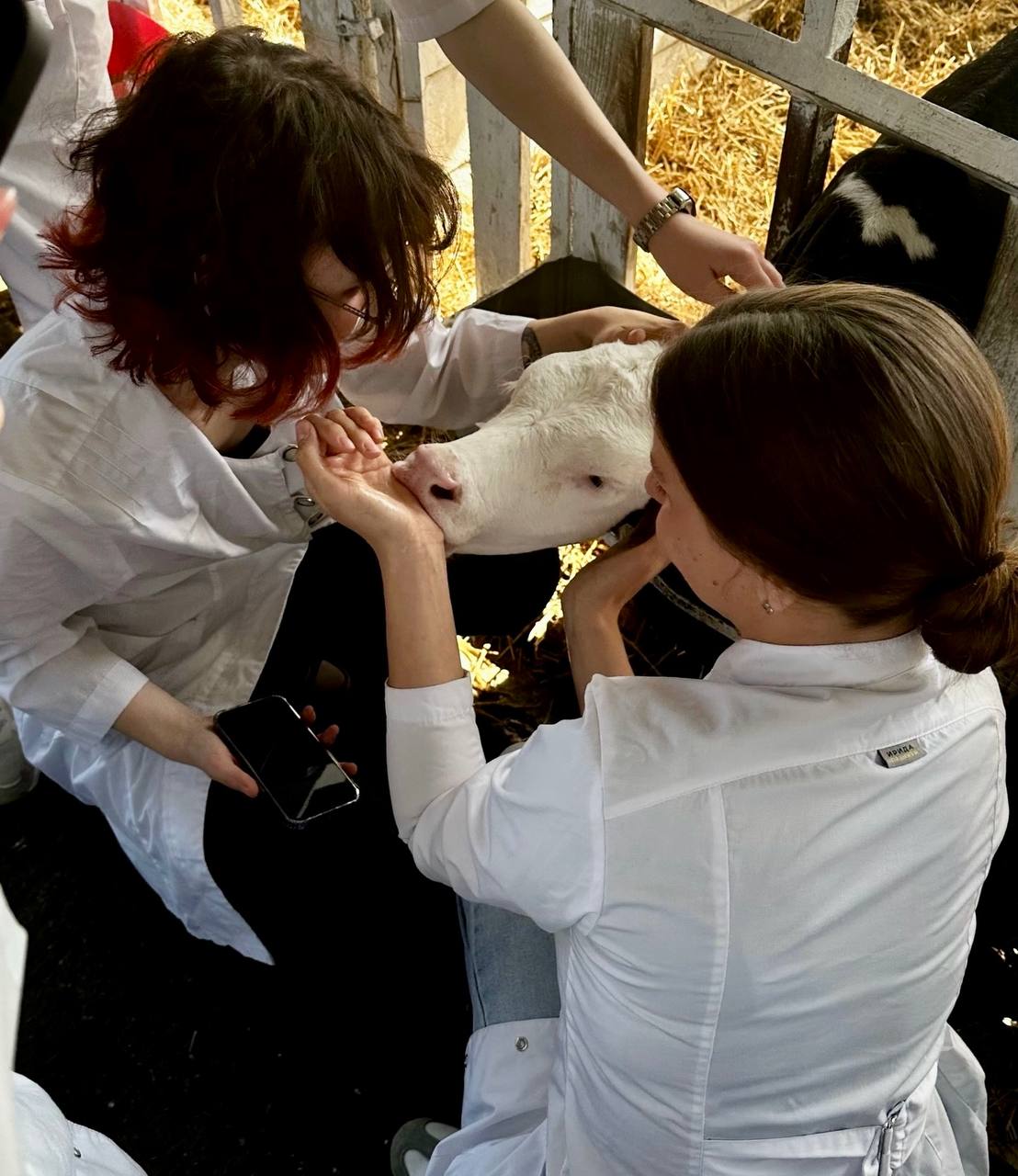 Сегодня второкурсники ИВМиБ получали практический опыт на базе ЗАО «Заря»!