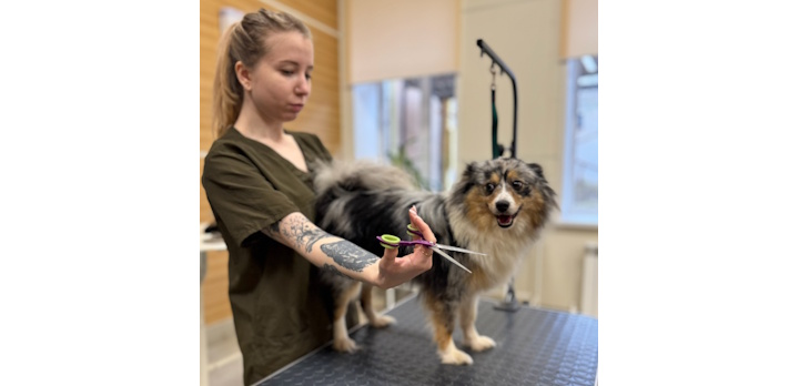 Стартовал курс ДПО ВГАУ Иваново - «Салонный груминг декоративных пород собак»!