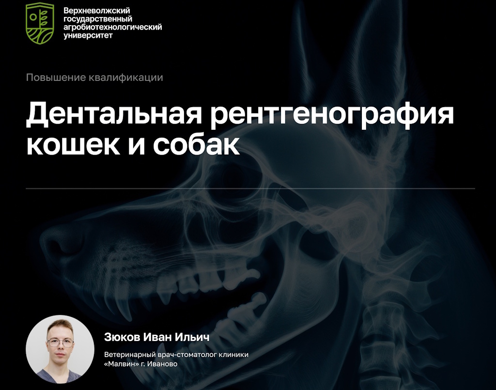 Под руководством опытного специалиста, врача-стоматолога Ивана Зюкова успешно прошел курс по дентальной рентгенографии в Воронеже!