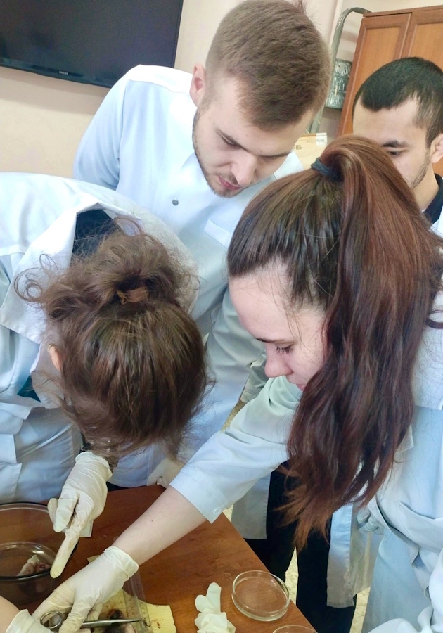 Лабораторное занятие по прудовому рыбоводству