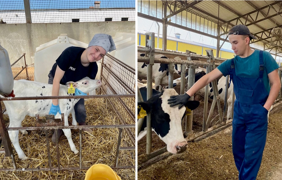 Дарья Воркуева и Матвей Есефьев сейчас проходят стажировку в СПК «РАССВЕТ»!