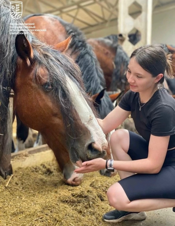 С 2026 года размер единовременной выплаты молодым специалистам, трудоустроенным на предприятия АПК, составит 150 тысяч рублей!