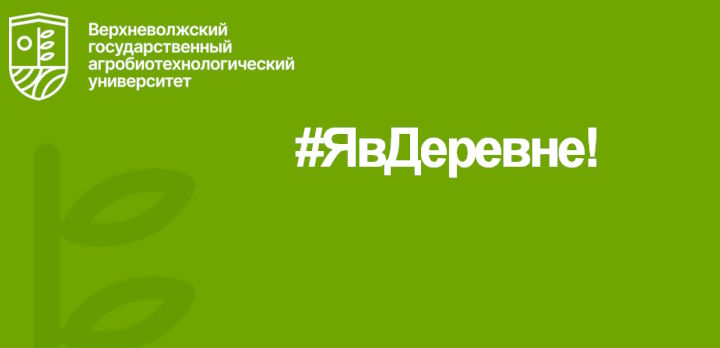 Внимание, челлендж #ЯвДеревне!