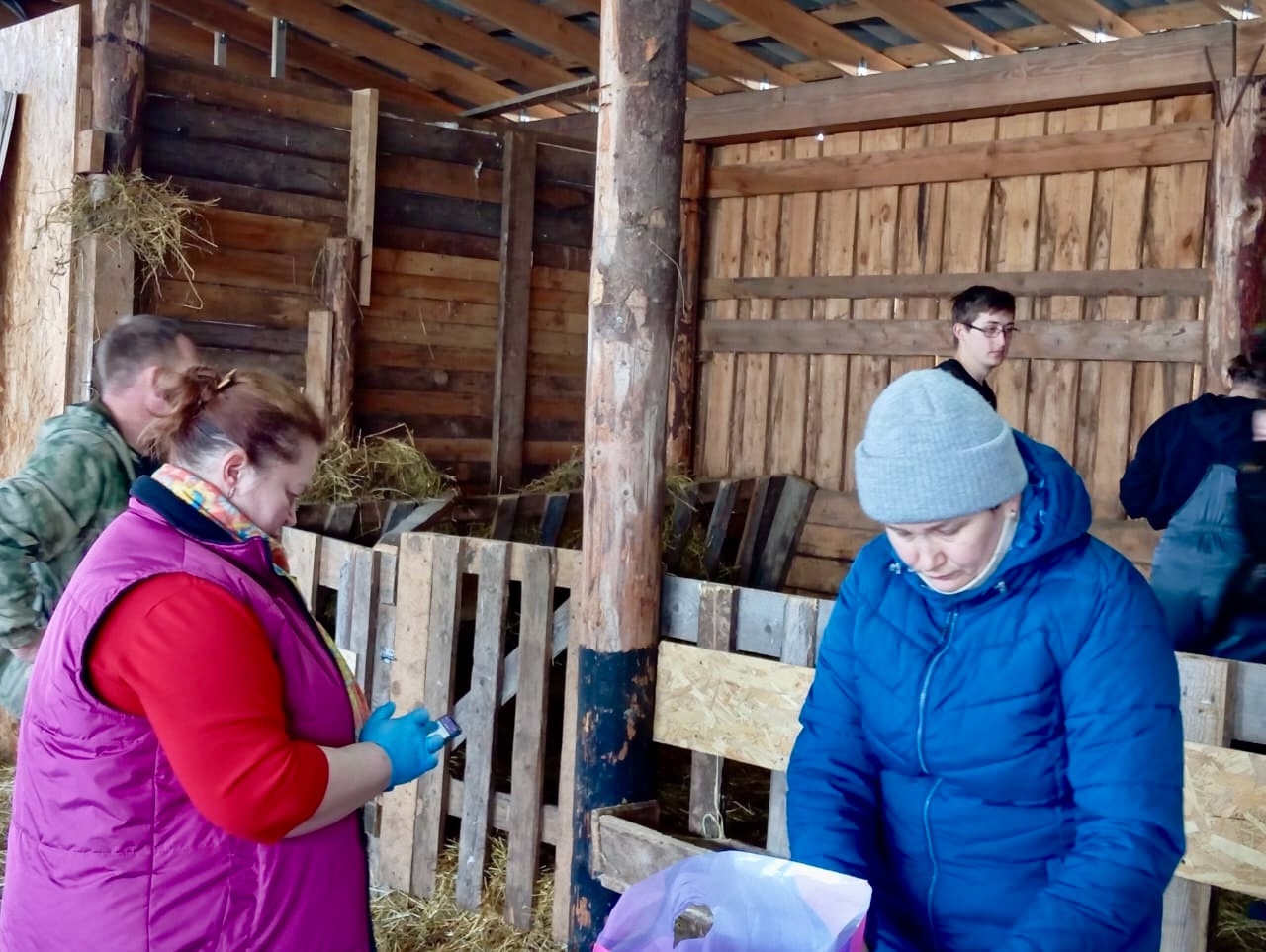 Исследования на базе фермерского хозяйства «КФХ Белан Александр Сергеевич»