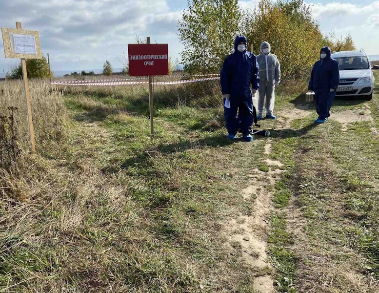 Наши студенты учатся ликвидировать очаги птичьего гриппа