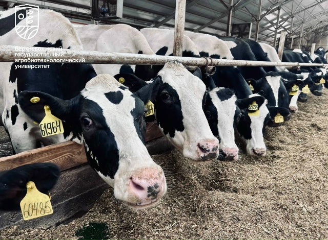 Прирост объемов сельхозпроизводства в Ивановской области!