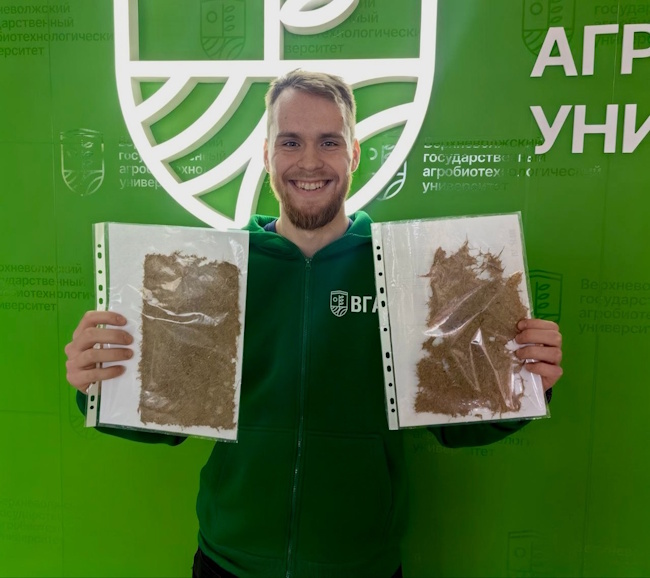 Ботва гладиолусов - экологичное сырье!