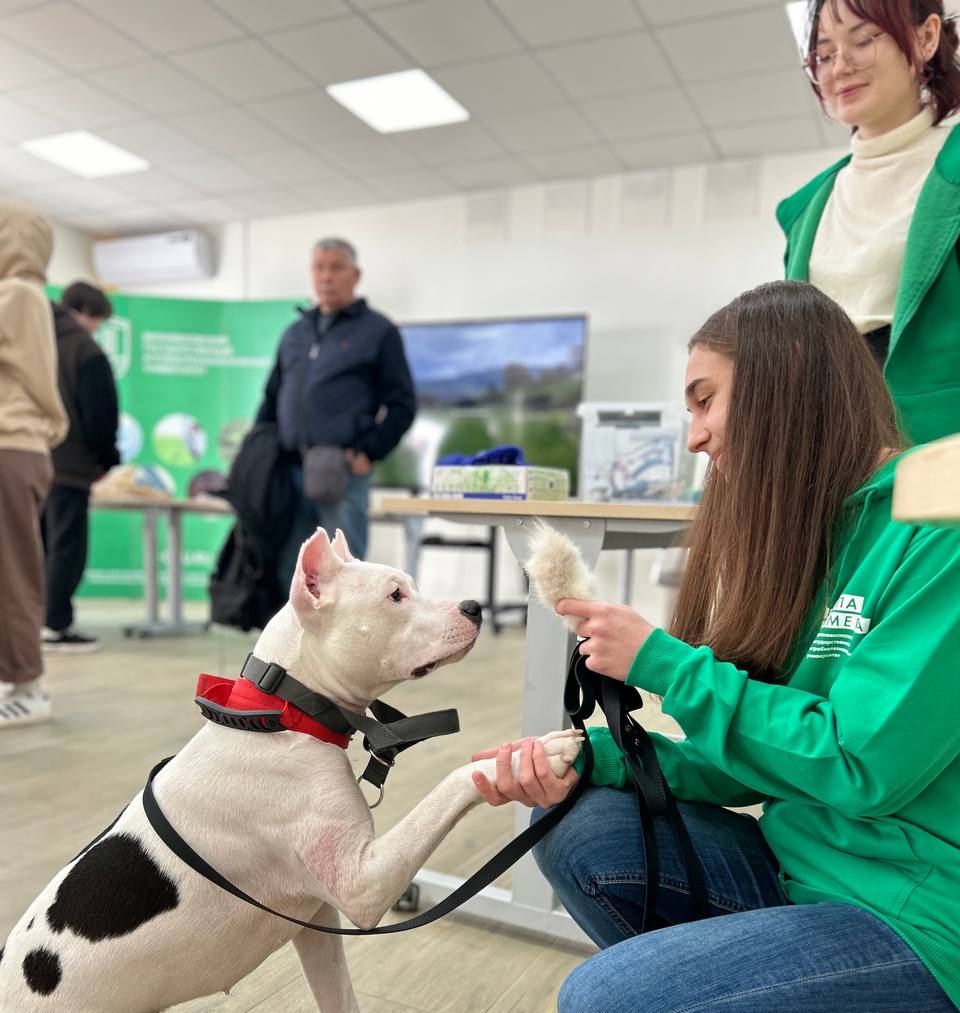 День открытых дверей в Колледже ветеринарной медицины и агробизнеса!