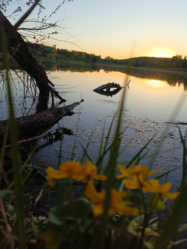Итоги нашего челленджа!
