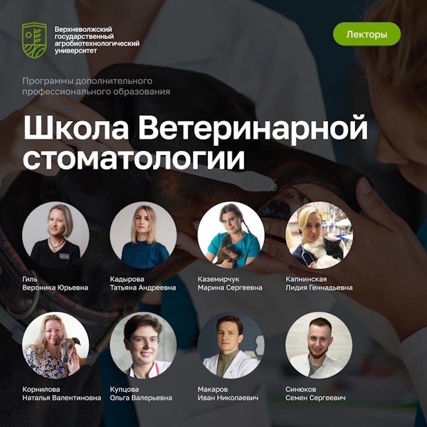 Почему способность к самообразованию является столь важной?