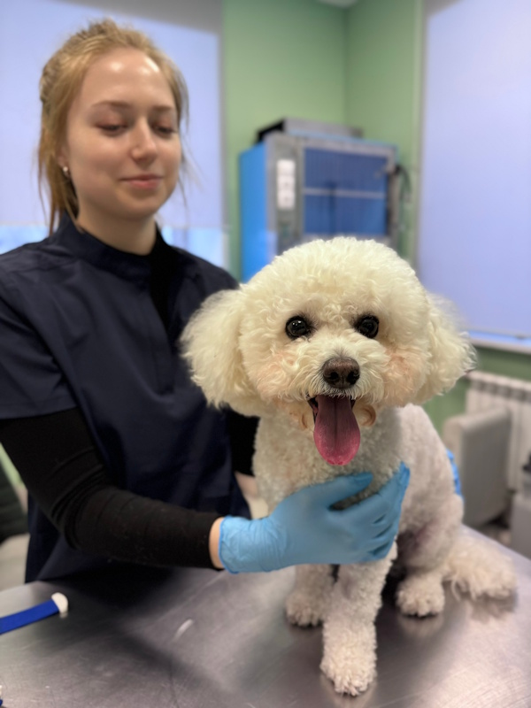 Врачебно-производственная практика!